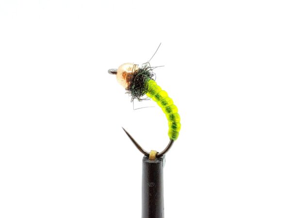 Body Glass Pupa - Image 2