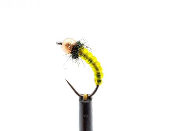 Body Glass Pupa - Image 4