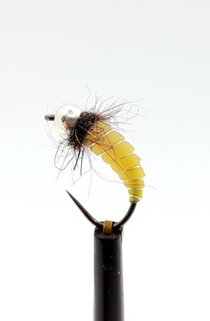 Latex Pupa