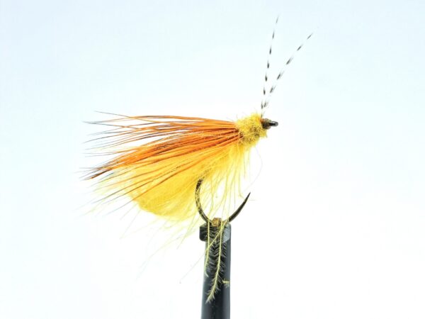 Cdc Bubble Caddis
