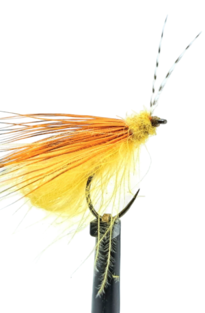 Cdc Bubble Caddis