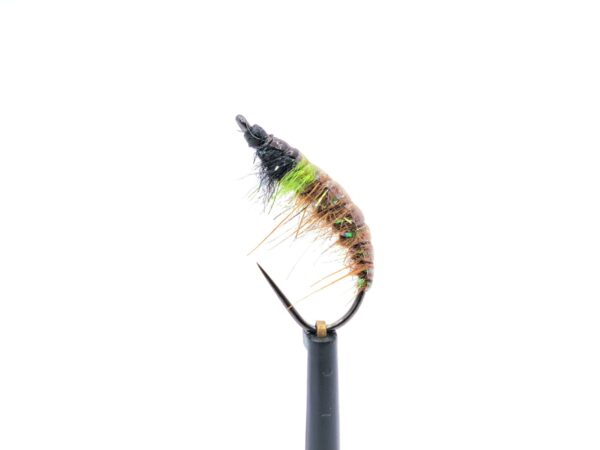Czech Nymph - Image 3