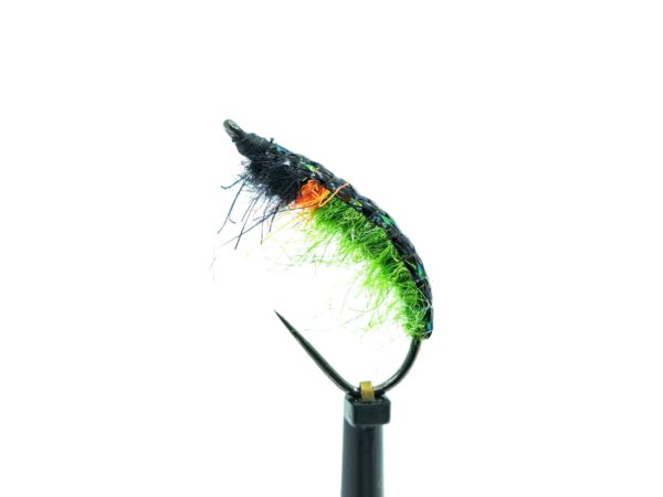 Czech Nymph - Image 8