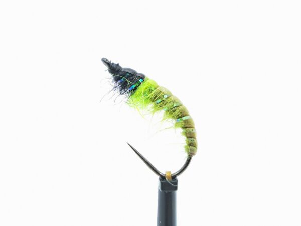 Czech Nymph - Image 5