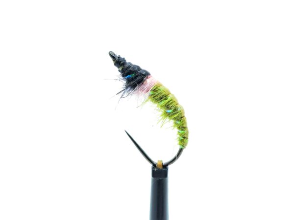 Czech Nymph - Image 6