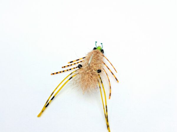 EP Fiber Sand Crab - Image 2