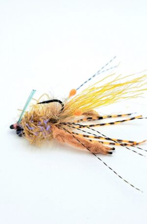 Ep Crawed Tarantula Crab