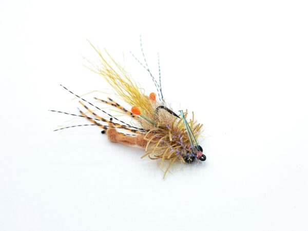 Ep Crawed Tarantula Crab - Image 2