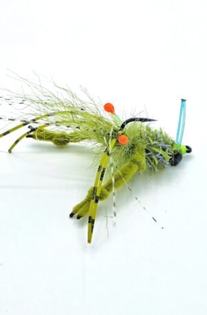 Ep Crawed Tarantula Crab