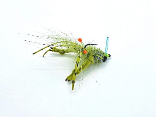 Ep Crawed Tarantula Crab
