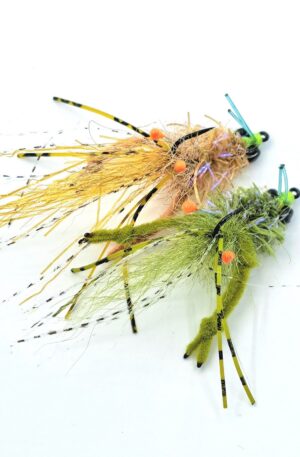 Ep Crawed Tarantula Crab