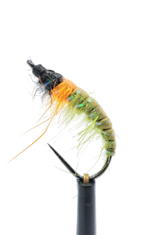 Czech Nymph