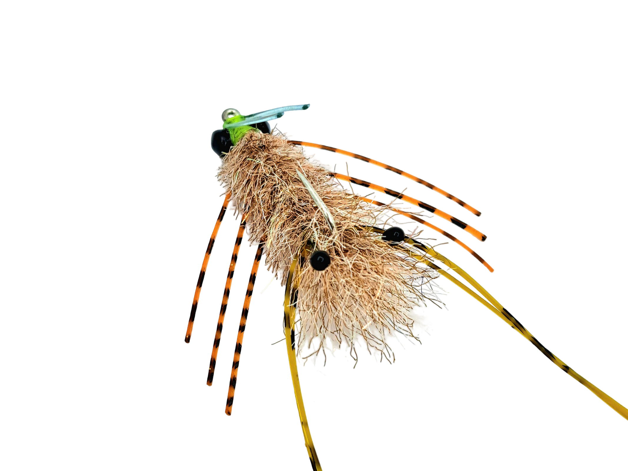 EP Fiber Sand Crab - Image 3