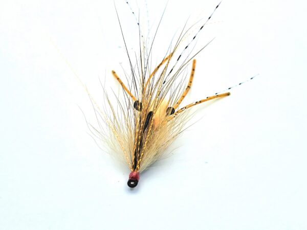 Koga's Bonefish Shrimp - Image 3