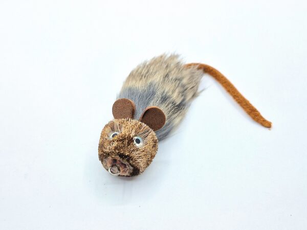 Small Mouse - Image 3