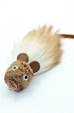 Small Mouse