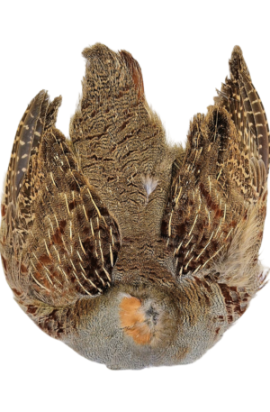 Hends Partridge Skin